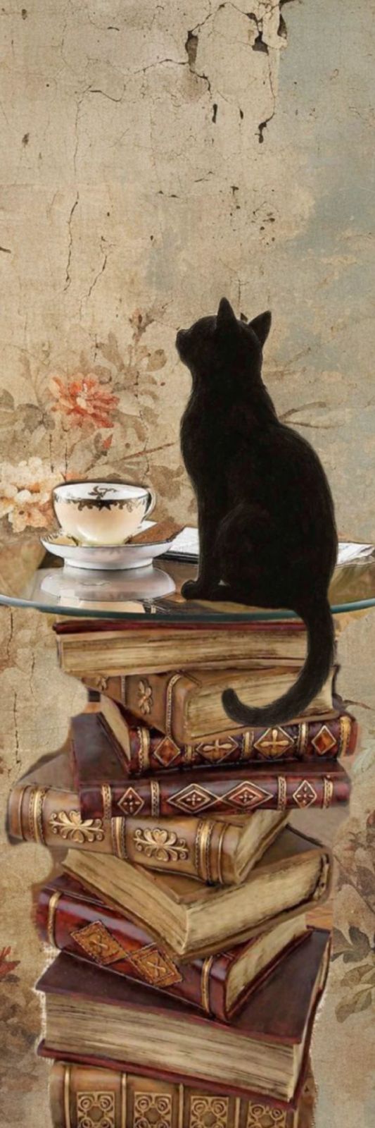 بوك مارك ورقية قطة فوق كتب