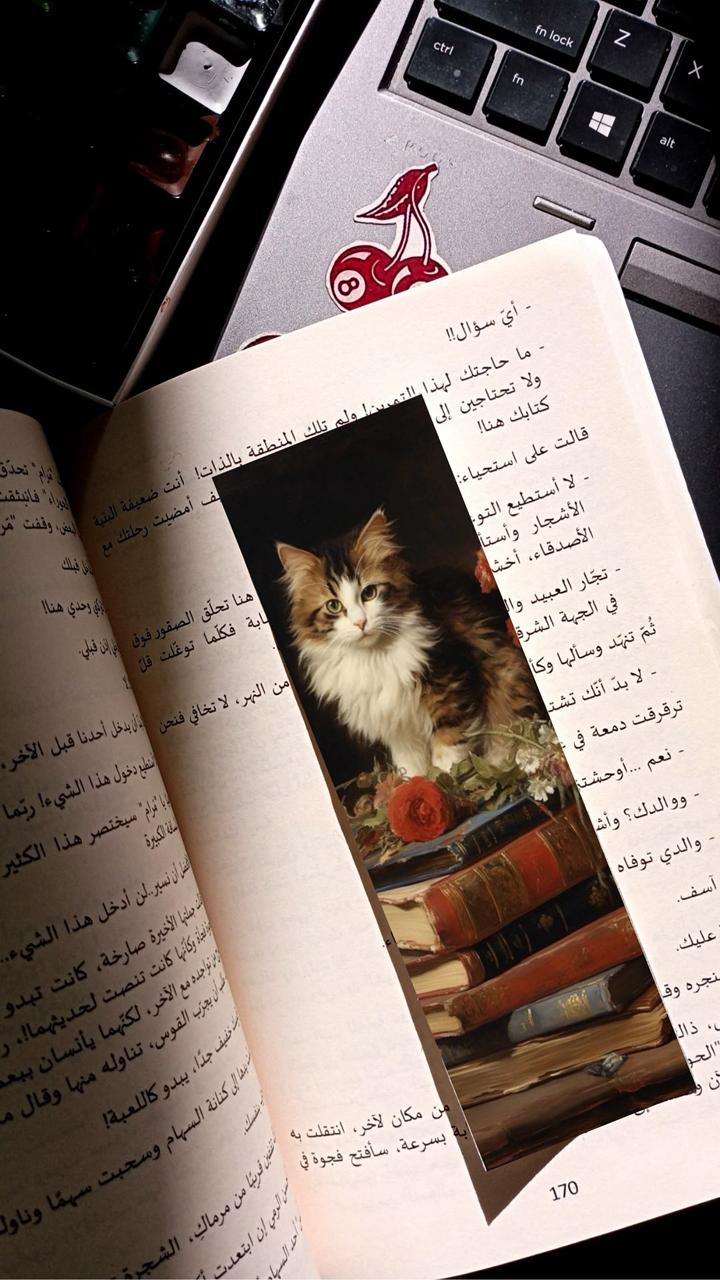 بوك مارك ورقية قطة فوق كتب ووردة