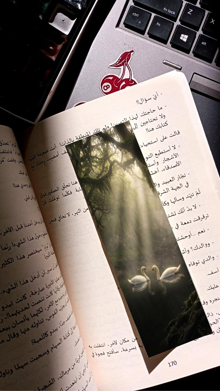 بوك مارك ورقية بطتين