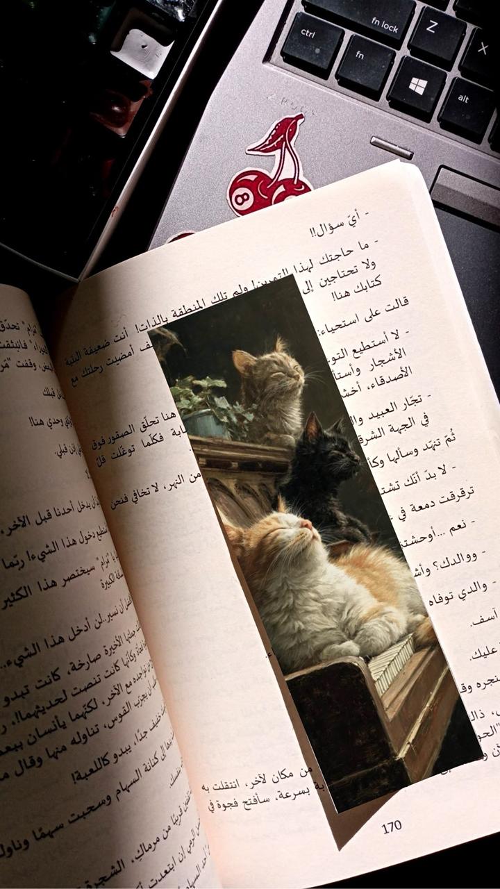 بوك مارك ورقية قطط فوق بيانو